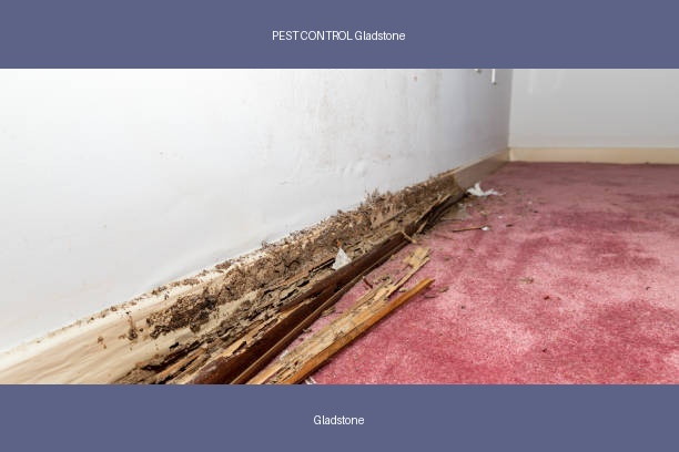 PEST CONTROL Gladstone